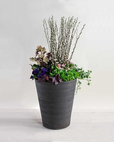 Spring Container Planter in Boston MA - Winston Flowers