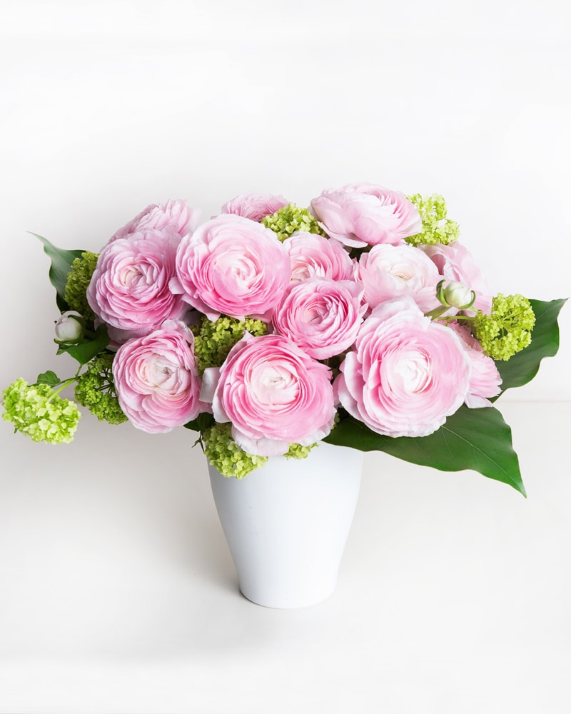 Boston New York Florist Same Day Flower Delivery Boston New York Florist Same Day Flower Delivery
