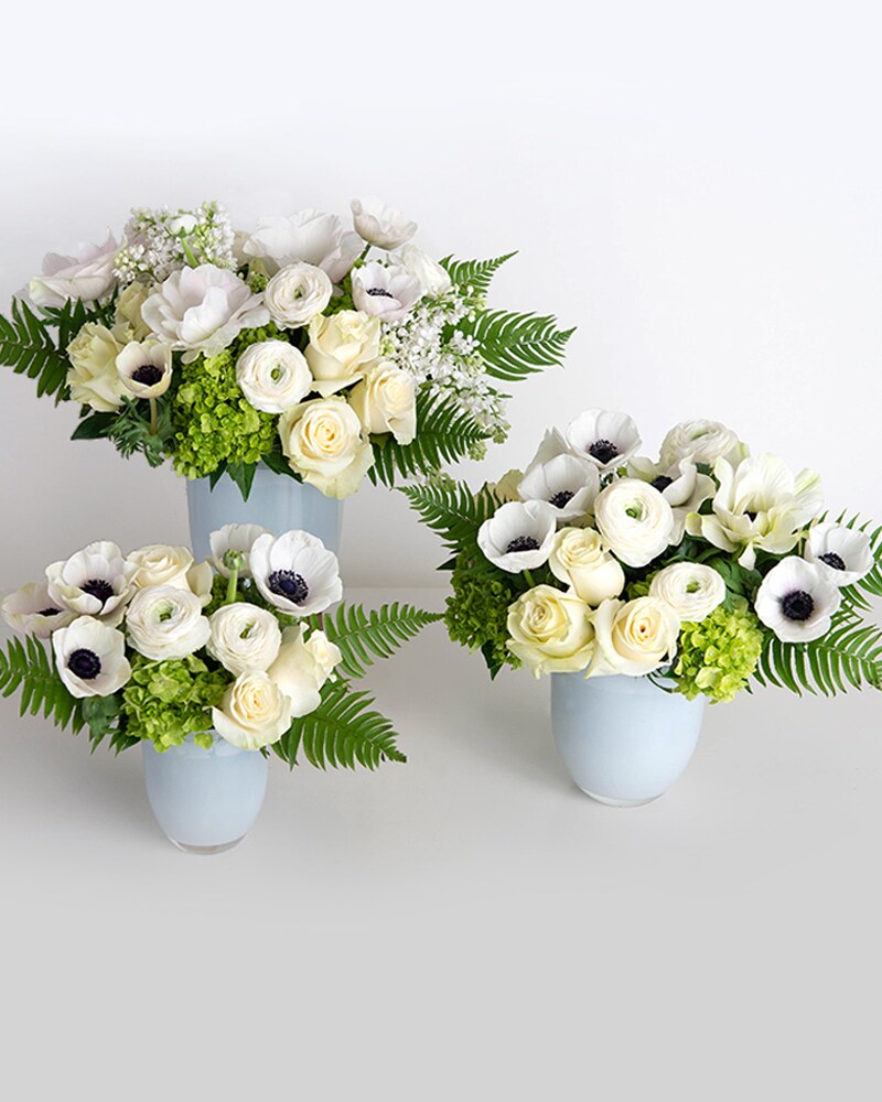 White Classic Collection in Boston MA Winston Flowers