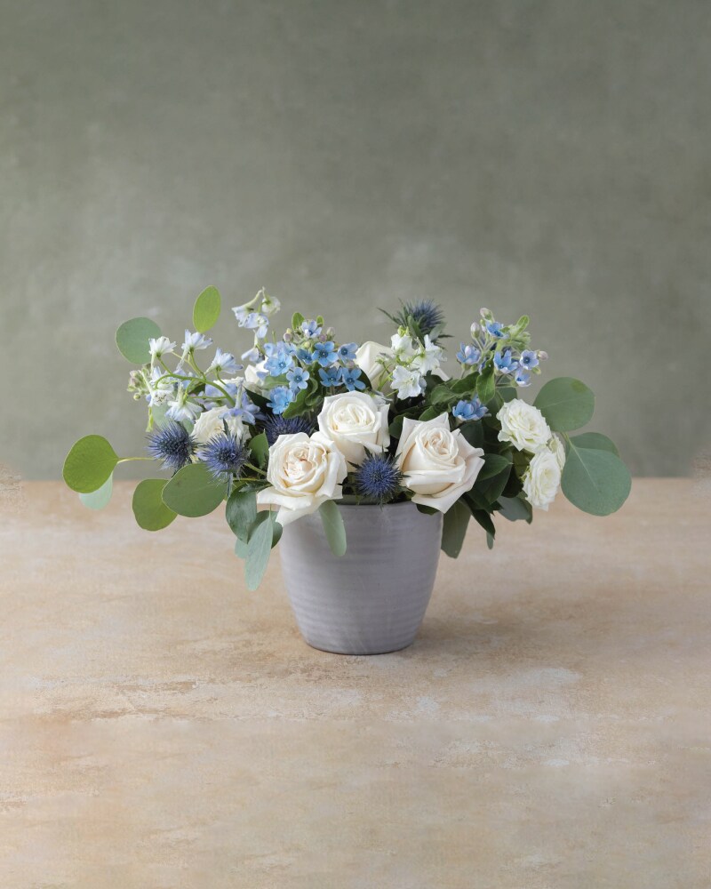 Seaside Classic Medium in Boston MA Winston Flowers