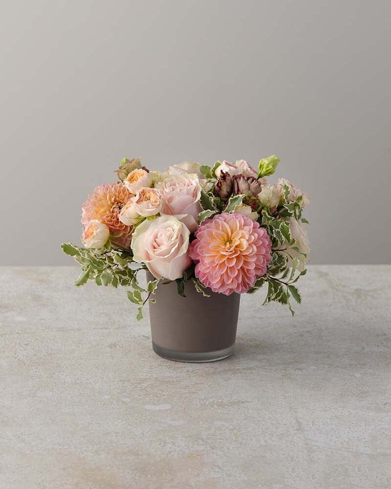 Summer Berry Medium in Boston MA Winston Flowers