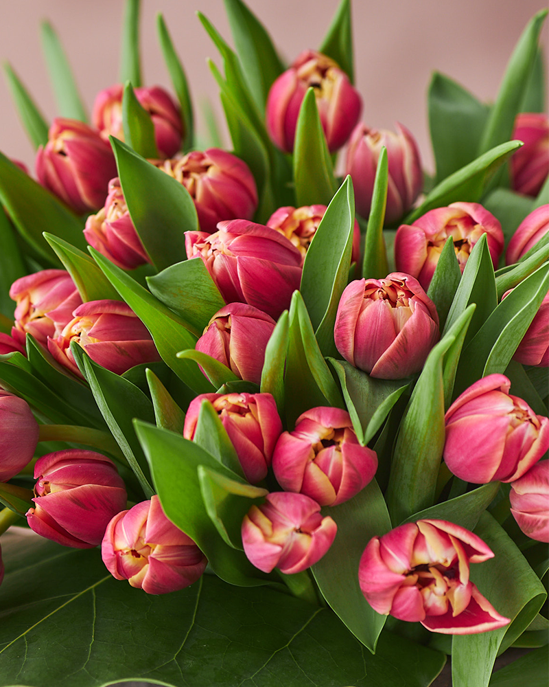 Flower of the Month Subscription Flower Arrangement