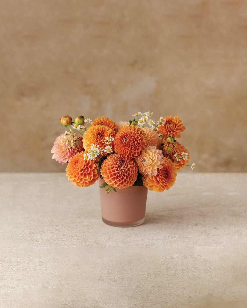 Dahlia Harvest - Medium Flower Arrangement