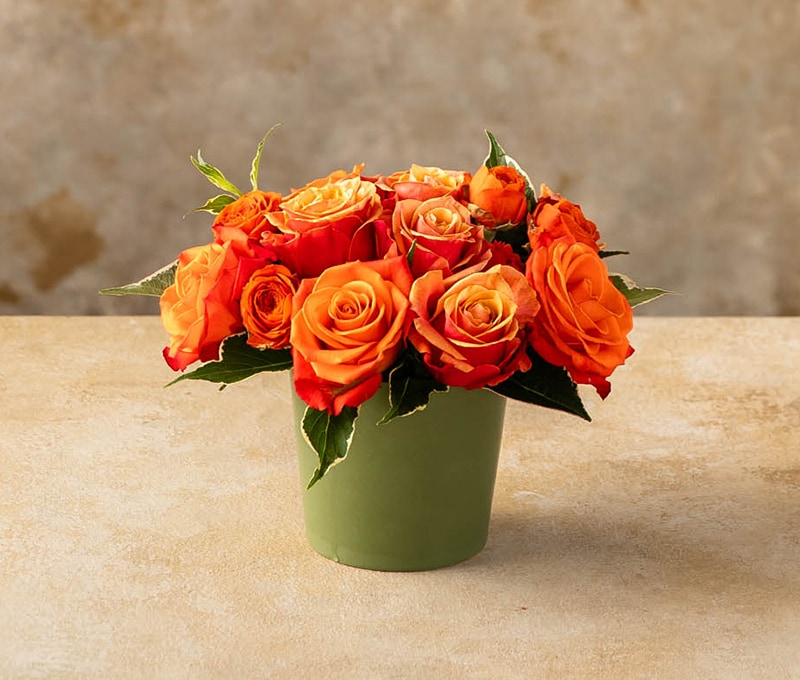Orange Carnations Posy Orange Carnations Posy