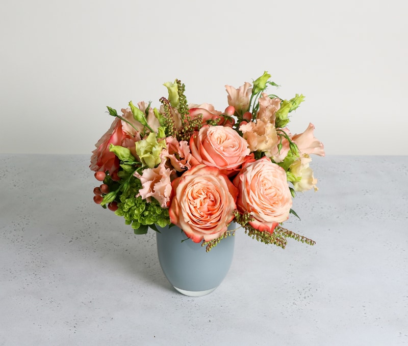 Blush Clic Large Blush Clic Large