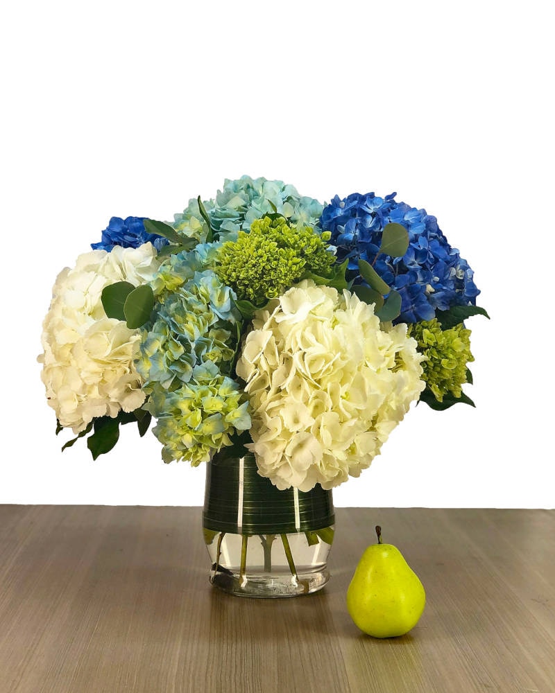 Seasons Hydrangea Harvest in Walpole MA - Flowers & More