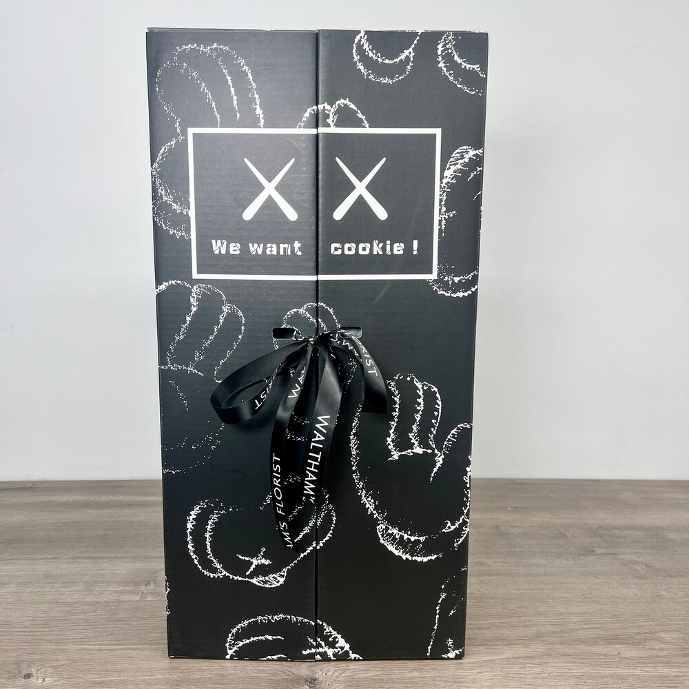 INFINITY KAWS COOKIE MONSTER EDITION (PINK) in Waltham MA