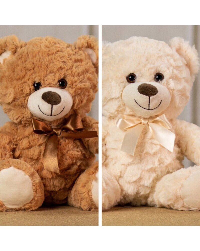PLUSH BEAR MEDIUM in Waltham MA - Waltham's Florist & Flower Delivery