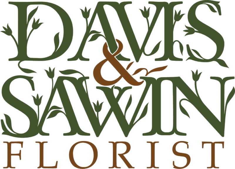 Davis & Sawin logo