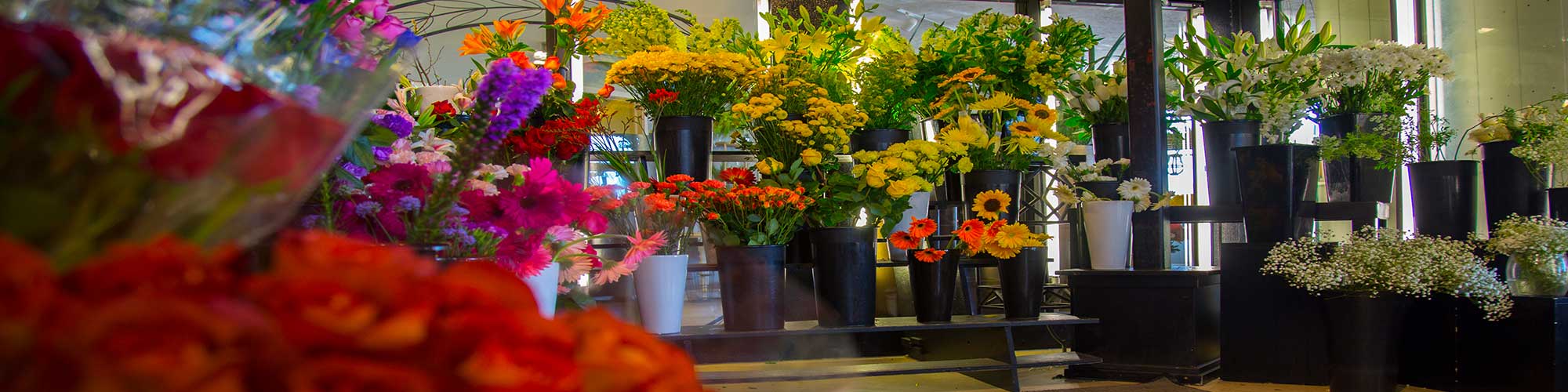 Huisman Flowers, Grand Haven Michigan Florist, Holland Michigan Florist