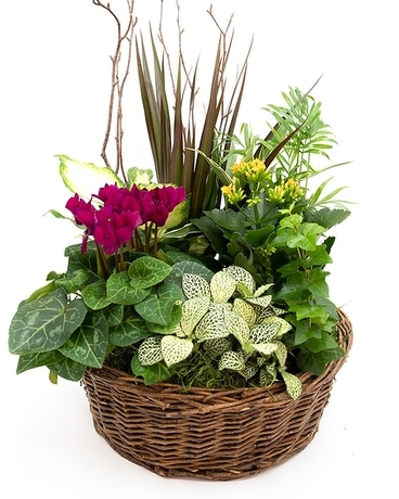 Huisman European Garden Flower Arrangement