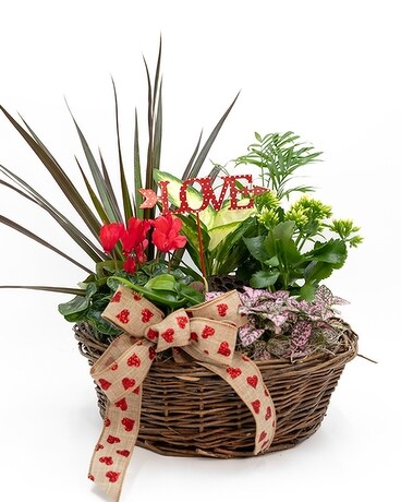 Huisman Flowering Basket Flower Arrangement