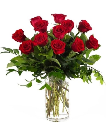 Classic Premium Dozen Red Roses