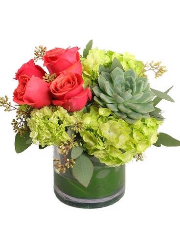 Spring Lake Sensation Flower Arrangement