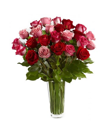Two Dozen Red & Pink Roses Flower Arrangement