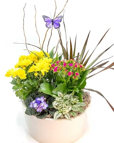 Huisman European Garden In Ceramic Flower Arrangement