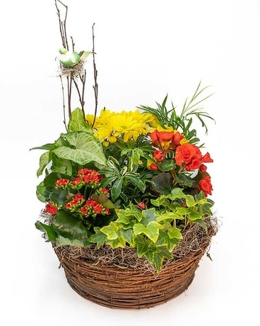Huisman European Garden Vine Basket Flower Arrangement