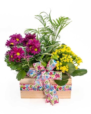 Huisman European Garden Wood Box Flower Arrangement