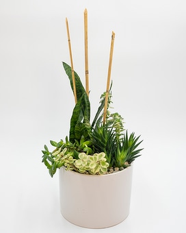 Huisman Succulent Garden 300 Flower Arrangement