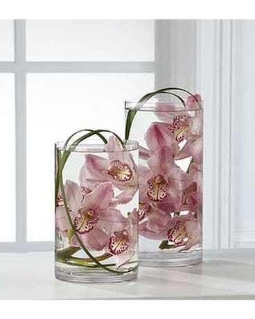 The FTD® Tranquil™ Orchid Arrangement Flower Arrangement