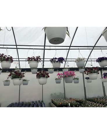 Garden Center Flower Arrangement