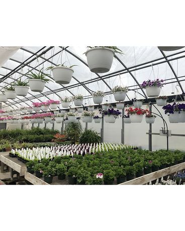 Garden Center Flower Arrangement