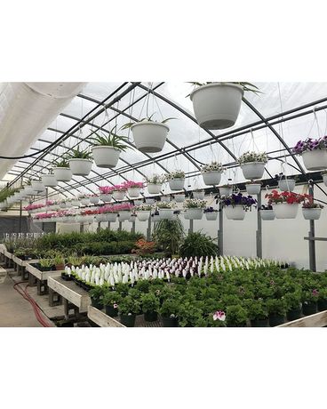 Garden Center Flower Arrangement
