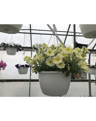 Garden Center Flower Arrangement