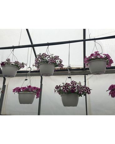 Garden Center Flower Arrangement