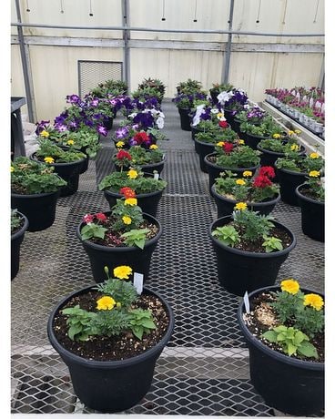 Garden Center Flower Arrangement