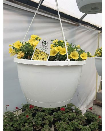 Garden Center Flower Arrangement
