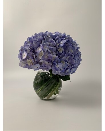 Classic Hydrangea Flower Arrangement