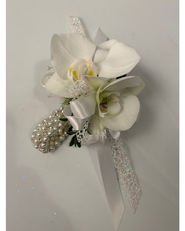 White Phale size,  inches height and  inches wide.