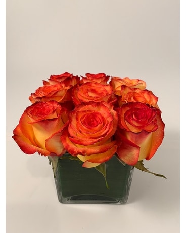 Rose Square - Orange Flower Arrangement