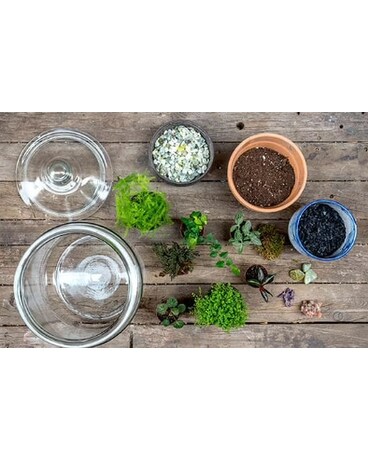 Terrarium 101 Workshop Flower Arrangement
