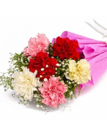 1/2 Dozen Carnations Flower Arrangement