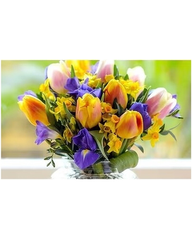 One Student- April 29 @5pm size,  inches height and  inches wide.