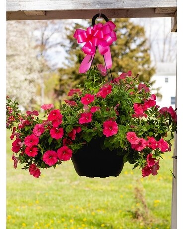 Premium Blooming Hanging Basket Flower Arrangement