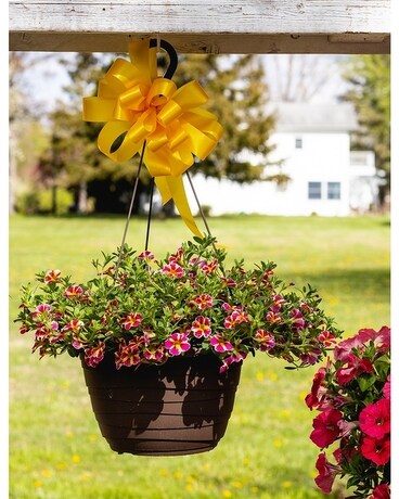 Standard Blooming Hanging Basket Flower Arrangement