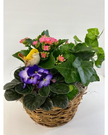 Springtime Nest Flower Arrangement