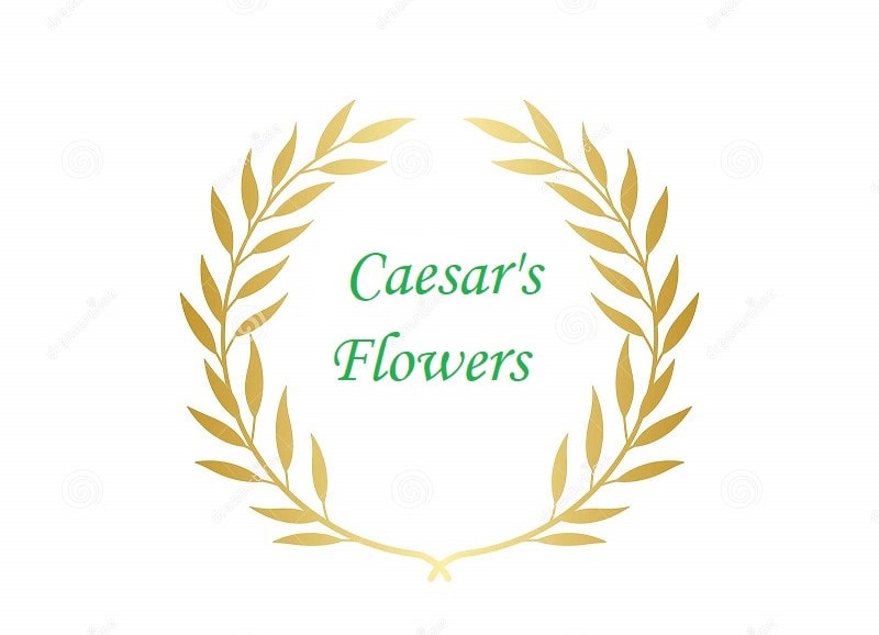 caesars flowers