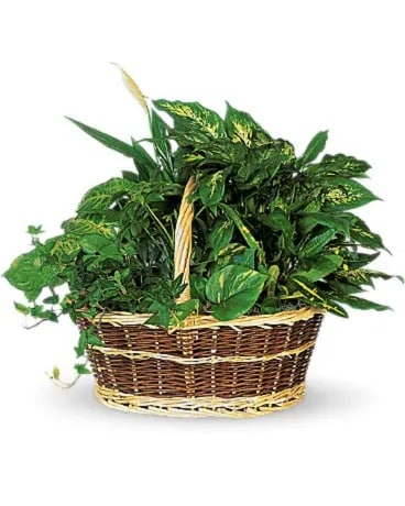 Basket Garden Flower Arrangement