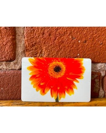 Gift Cards Gifts
