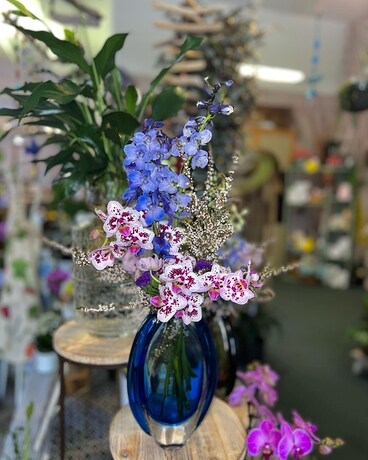 Orchid Arrangement Specialty Arrangement