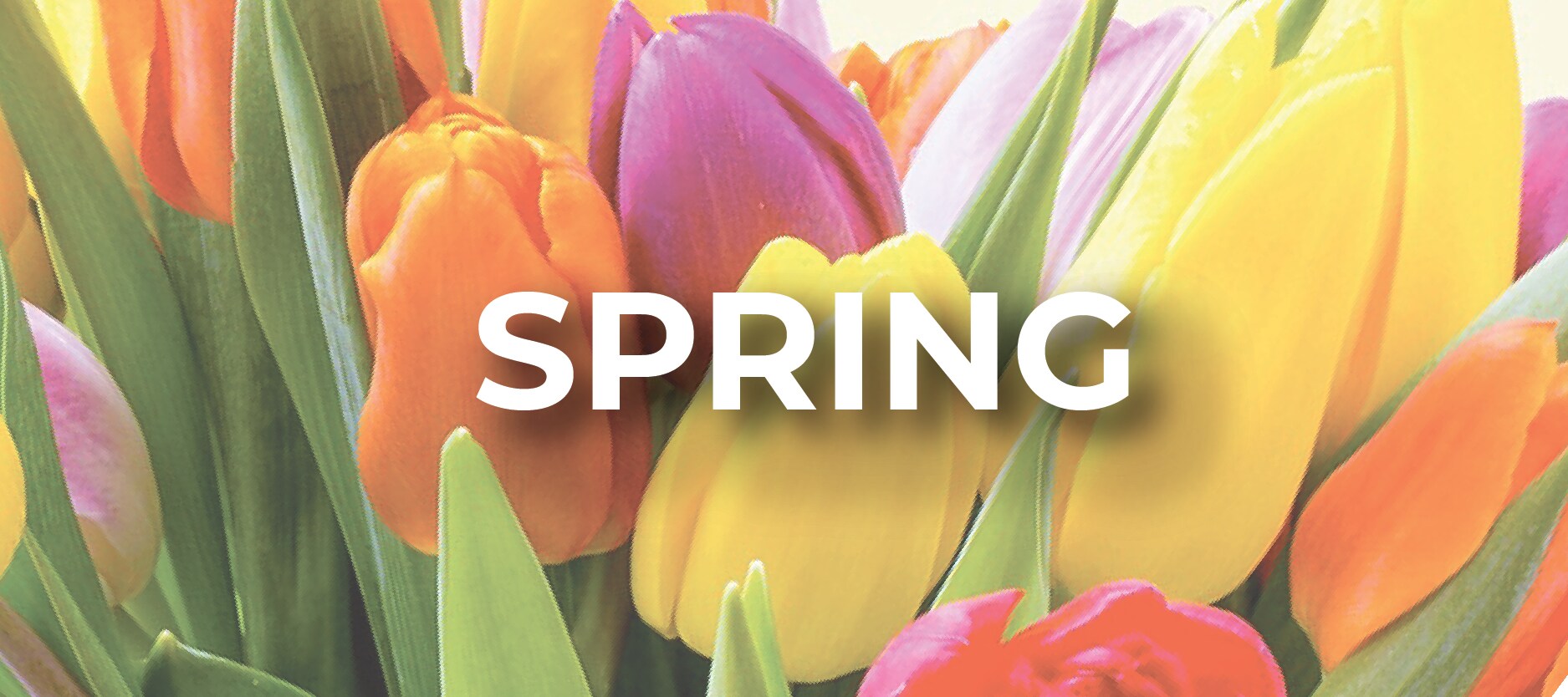 Flushing Florist Flower Delivery by Flushing Florist & Greenhouse