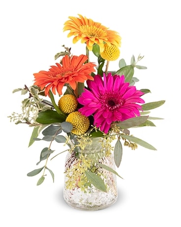 Daisy Delight Flower Arrangement