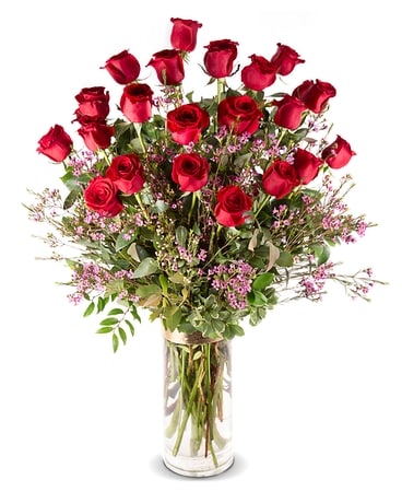 2 Dozen Premium Long Stem Red Roses Flower Arrangement