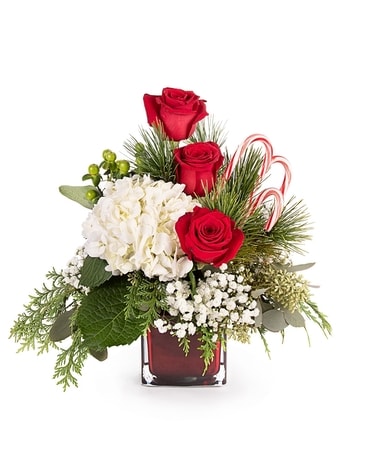 Candy Cane Celebration Flower Arrangement
