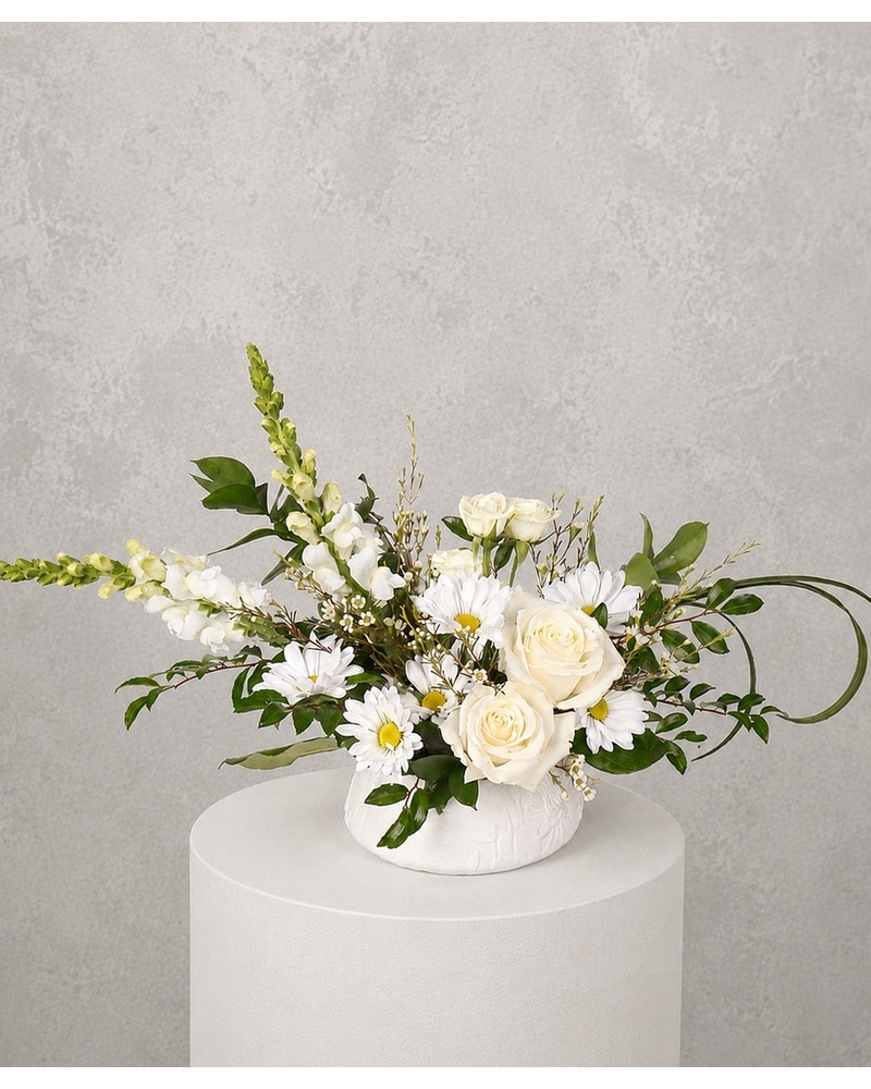 Ivory Drift in Flushing MI - Flushing Florist & Greenhouse