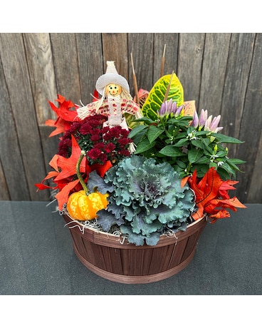 Harvest Garden Basket Plant